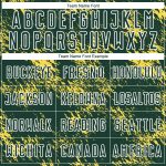Custom Sublimation Soccer Uniform Jersey - Personalized Abstract Grunge Art with Green, Gold, and White - Team Name & Number