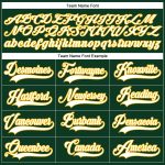 Custom Name Number Hockey Jersey - Personalized Green White Gold Lace Neck Team Personalized Green White-Gold Hockey Lace