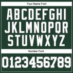 Custom Name and Number Long Sleeve Performance T-Shirt in Green White-Gray for Teams Personalized Green White-Gray Long Sleeve