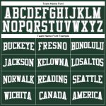 Custom Name and Number Long Sleeve Performance T-Shirt in Green White-Gray for Teams Personalized Green White-Gray Long Sleeve