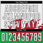 Custom Welsh Flag Soccer Jersey - Personalized Green, White, Red & Black Uniform with Name and Number Personalized Green