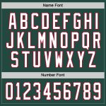 Personalized Hockey Jersey in Green White and Red - Custom Team Apparel Personalized Green White-Red Hockey Jersey