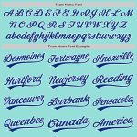 Custom Name Number Baseball Jersey - Ice Blue Royal White Authentic Team Jersey Personalized Ice Blue Royal-White Authentic