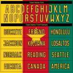 Custom Cameroonian Flag Soccer Uniform Jersey with Personalized Name & Number - Kelly Green Gold Red-Black Design Personalized