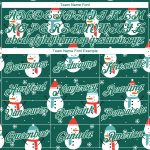 Custom 3D Performance T-Shirt with Team Name and Number - Personalized Kelly Green and White Christmas Style Personalized