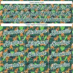 Personalized 3D Pattern Tiger Performance T-Shirt in Kelly Green and White Personalized Kelly Green White 3D Pattern Design