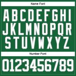 Custom Name and Number Personalized Hockey Jersey - Kelly Green White-Gray Lace Neck Team Apparel Personalized Kelly Green
