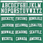 Custom Team Name Number Long Sleeve T-Shirt - Personalized Kelly Green White-Gray Performance Salute To Service Personalized