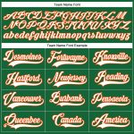 Custom Name & Number Hockey Jersey in Kelly Green, White & Orange Lace Neck - Personalized Team Apparel Personalized Kelly