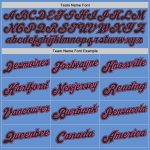 Personalized Authentic Throwback Basketball Jersey Custom Name Number Black-Pink Light Blue Team Personalized Light Blue