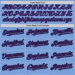 Custom Name and Number Unisex Softball Jersey - Light Blue Black Pinstripe Purple Two-Button Design Personalized Light Blue