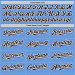 Custom Name and Number Personalized Baseball Jersey | Light Blue Brown-White Mesh Authentic Throwback Style Personalized