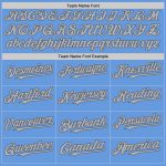 Custom Light Blue Gray-Steel Gray Mesh Baseball Jersey with Personalized Name and Number - Authentic Throwback Style Personalized