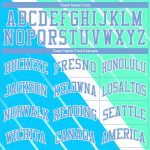 Custom Name Number Light Blue Green Sublimation Basketball Jersey Round Neck Personalized Team Suit Personalized Light Blue