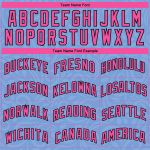 Custom Name Number Basketball Jersey - Light Blue Pink Black Flower Authentic City Edition Personalized Light Blue Pink-Black