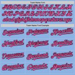 Custom Name and Number Authentic Baseball Jersey - Light Blue Pink and Black Line Design Personalized Light Blue Pink-Black