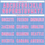 Custom Name and Number Personalized Soccer Jersey Light Blue Pink-White Pinstripe Team Uniform Personalized Light Blue Pink-White
