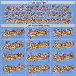 Custom Name Number Two-Tone Bomber Varsity Jacket Light Blue Purple Gold Full-Snap Team Outerwear Personalized Light Blue