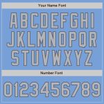 Custom Name and Number Light Blue Steel Gray Pinstripe Two-Button Unisex Softball Jersey Personalized Light Blue Steel Gray