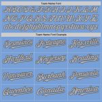 Custom Name and Number Light Blue Steel Gray Pinstripe Two-Button Unisex Softball Jersey Personalized Light Blue Steel Gray