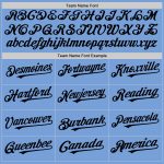 Custom Name Number Authentic Baseball Jersey Light Blue Black White Pinstripe Fashion Personalized Light Blue White-Black
