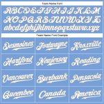 Custom Team Name and Number Light Blue White-Gray Authentic Sleeveless Baseball Jersey Personalized Light Blue White-Gray