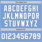 Custom Team Name Number Light Blue White-Gray Bomber Varsity Letterman Two-Tone Full-Snap Jacket Personalized Light Blue