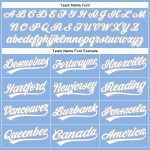 Custom Team Name Number Light Blue Gray Performance Golf Polo Shirt Personalized Light Blue White-Gray Performance Vapor