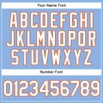 Personalized Light Blue White Pinstripe Baseball Jersey with Orange Accents Personalized Light Blue White Pinstripe Orange