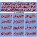 Custom Name Number Authentic Baseball Jersey - Light Blue White Red-Navy Pinstripe Design Personalized Light Blue White Pinstripe