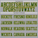 Custom Authentic Football Jersey with Personalized Name and Number - Light Gray Green Gold Mesh Personalized Light Gray Green-Gold