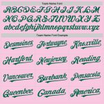 Custom Team Name Number Light Pink Kelly Green Mesh Authentic Throwback Baseball Jersey Personalized Light Pink Kelly Green