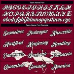 Custom Name and Number Performance T-Shirt - 3D Animal Crane Design in Maroon and Black Personalized Maroon White-Black 3D