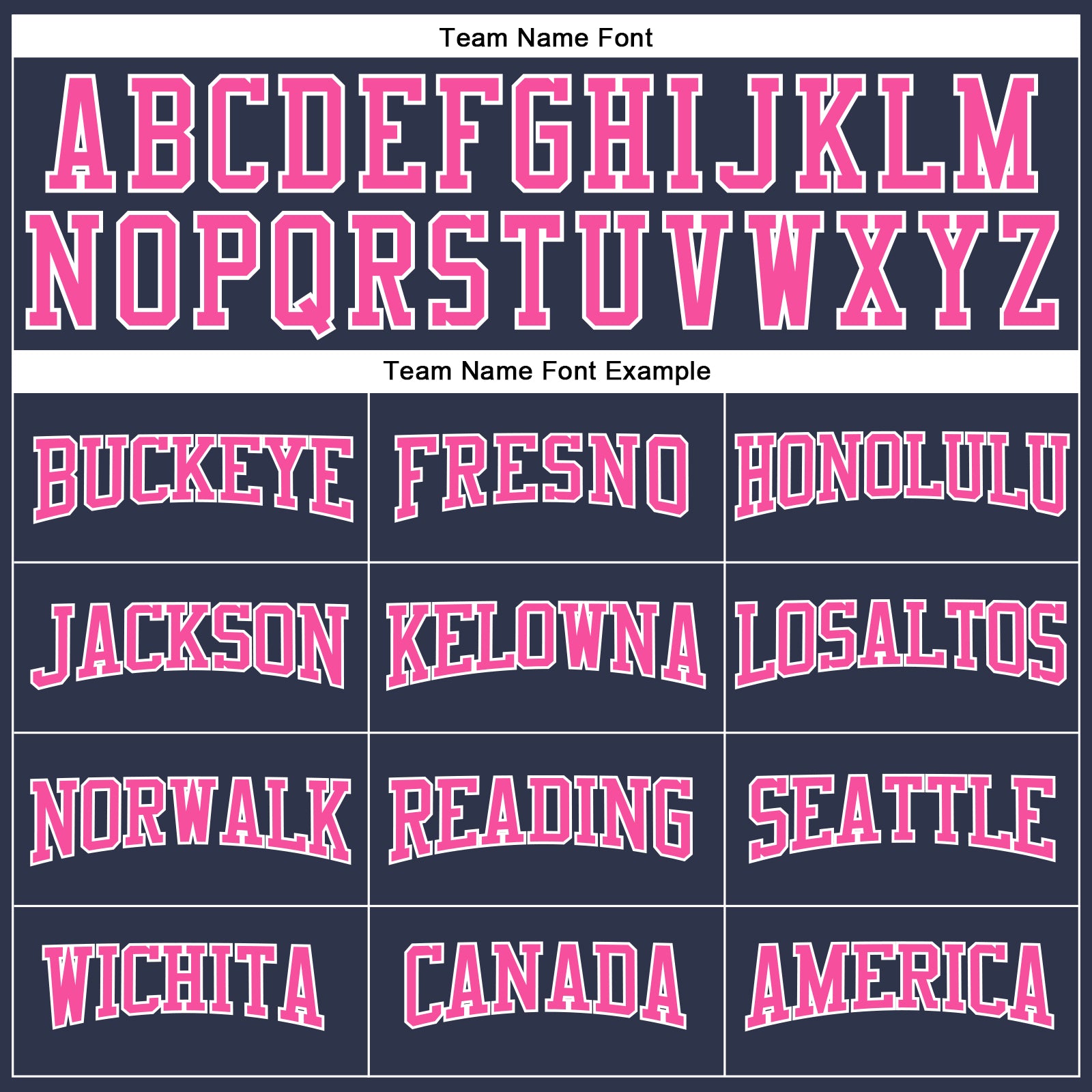 Personalized Navy Pink-White Long Sleeve Performance Salute To Service T-Shirt Team Custom Name and Number Custom Name Number Performance T-Shirt for Salute To Service - Personalized Navy Pink-White Long Sleeve Tee Personalized - Image 4