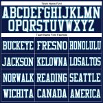 Custom Personalized Navy Blue Panther Mesh Football Jersey with Name and Number Personalized Navy White-Panther Blue Mesh