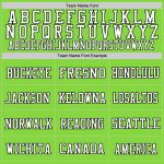 Personalized Neon Green Black White Authentic Football Jersey Mesh Design Personalized Neon Green Black-White Mesh Authentic