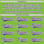 Custom Neon Hockey Jersey with Name & Number - Green Purple White Team Apparel Personalized Neon Green Purple-White Hockey