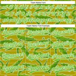 Personalized Olive Aurora Green-White 3D Pattern Design Crocodile Authentic Baseball Jersey Team Custom Name and Number