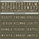 Personalized Olive Black-Cream Mesh Authentic Throwback Salute To Service Football Jersey Team Custom Name and Number