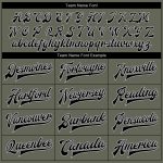Personalized Olive Black-Gray Animal Camo Sleeves 3D Pattern Design Bomber Full-Snap Varsity Letterman Salute To Service Jacket Team Custom Name and Number