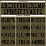 Personalized Olive Black Mesh Authentic Salute To Service Football Jersey Team Custom Name and Number