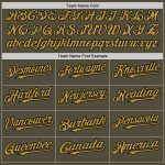 Personalized Olive Black-Old Gold Mesh Authentic Throwback Salute To Service Baseball Jersey Team Custom Name and Number