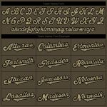 Personalized Olive Camo-Black Authentic Salute To Service Softball Jersey Team Custom Name and Number