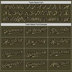 Personalized Olive Camo Black-Cream Line Authentic Salute To Service Baseball Jersey Team Custom Name and Number