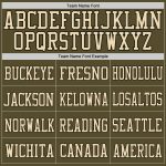 Personalized Olive Camo-Black Mesh Authentic Salute To Service Football Jersey Team Custom Name and Number