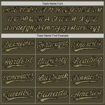 Personalized Olive Camo Black-Old Gold Authentic Throwback Salute To Service Baseball Jersey Team Custom Name and Number