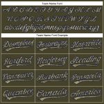 Personalized Olive Camo-Navy Performance Vapor Salute To Service Golf Polo Shirt Team Custom Name and Number