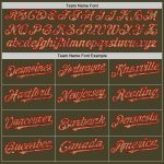 Personalized Olive Camo Red-Cream Line Authentic Salute To Service Baseball Jersey Team Custom Name and Number