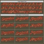 Personalized Olive Camo-Red Mesh Authentic Throwback Salute To Service Baseball Jersey Team Custom Name and Number