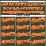 Personalized Olive City Cream Pinstripe Orange Authentic Salute To Service Baseball Jersey Team Custom Name and Number